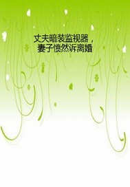 丈夫暗装监视器，妻子愤然诉离婚