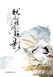 犹记惊鸿照影