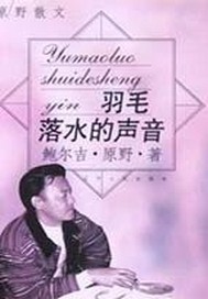 羽毛落水的声音：原野散文