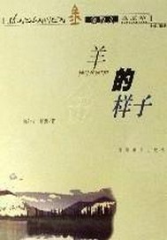 羊的样子