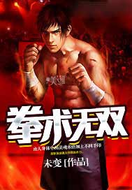 拳术无双
