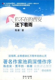 你不在的西安还下着雨