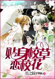 贴身校草恋校花