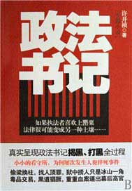 政法书记