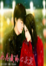 女总裁的心头宠