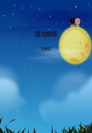 混沌蝴蝶