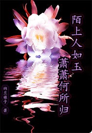 陌上人如玉萧萧何所归