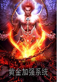 黄金加强系统