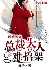 闪婚独宠：总裁大人难招架