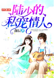 陆少的私宠情人