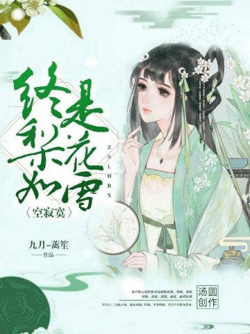 终是梨花如雪空寂寞