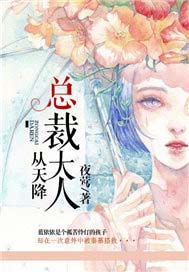 总裁大人从天降