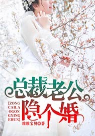 总裁老公，隐个婚