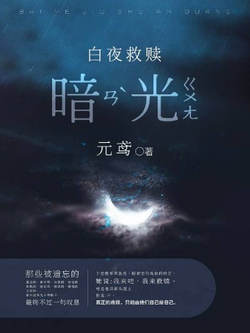 白夜救赎:暗光