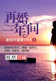 再婚一年间