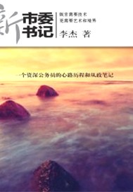 新任市委书记