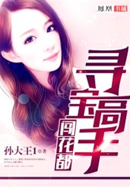 寻宝高手闯花都