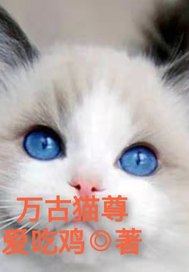 万古猫尊