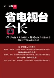 省电视台台长