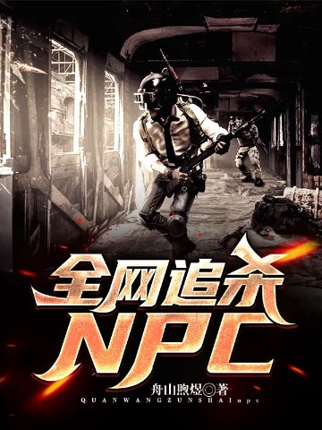 全网追杀NPC