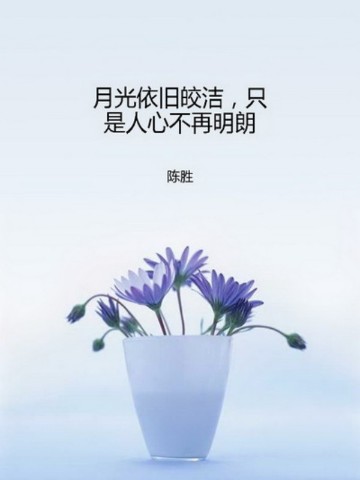 月光依旧皎洁，只是人心不再明朗
