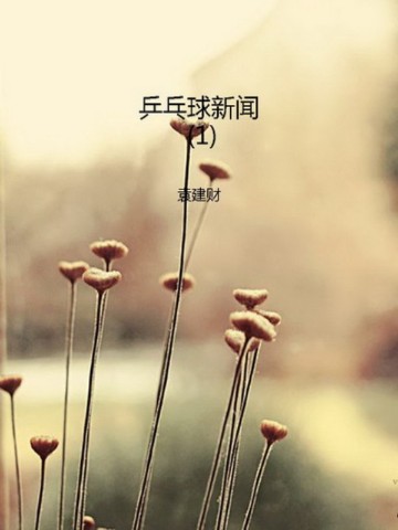 乒乓球新闻（1）