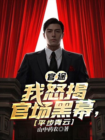官途：我怒揭官场黑幕，平步青云