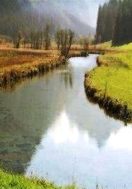 就恋这把黄土