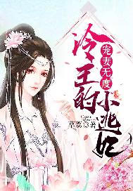 宠妻无度：冷王的小逃妃