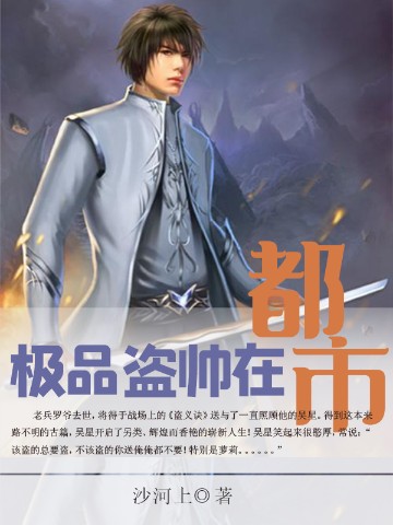 极品盗帅在都市