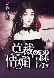 惹火前妻：总裁情难自禁