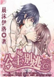 公主，别逃