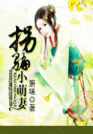 拐骗小萌妻