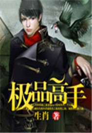 极品高手