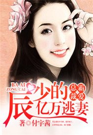 霸爱总裁，辰少的亿万逃妻