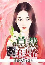 甜宠无限：总裁追妻路