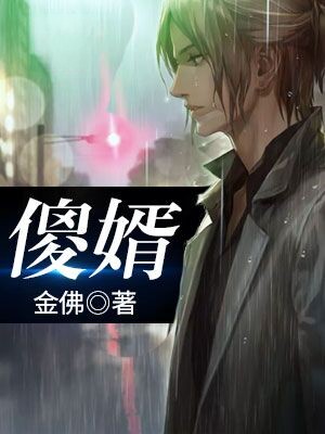 傻婿