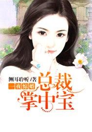 一夜惊婚：总裁掌中宝