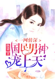 一网情深：国民男神宠上天