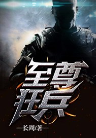 至尊狂兵