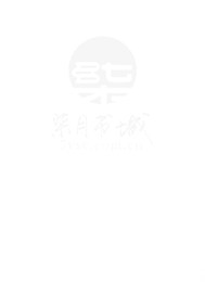闪婚蜜宠：左少追妻套路多