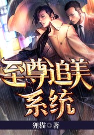 至尊追美系统
