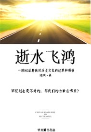 逝水飞鸿【赛】