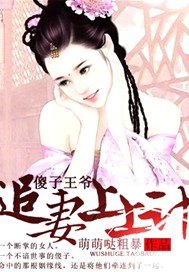 傻子王爷：追妻上上计