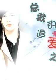 总裁的追爱之旅