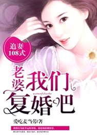 追妻108式：老婆，我们复婚吧