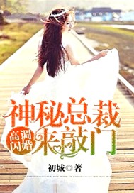 高调闪婚，神秘总裁来敲门