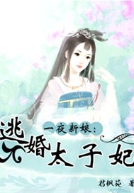 一夜新娘：逃婚太子妃