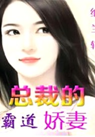 总裁的霸道娇妻