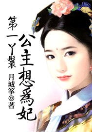 第一丫鬟：公主想为妃